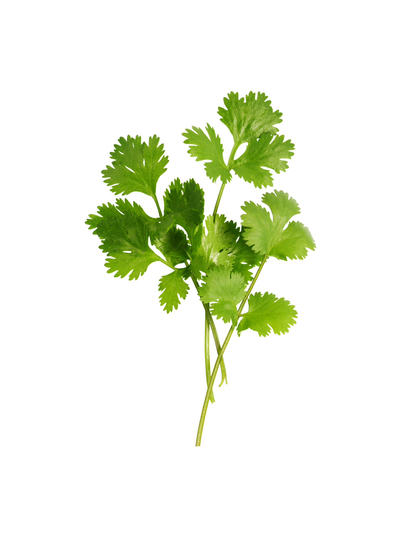 Assessment Consultation