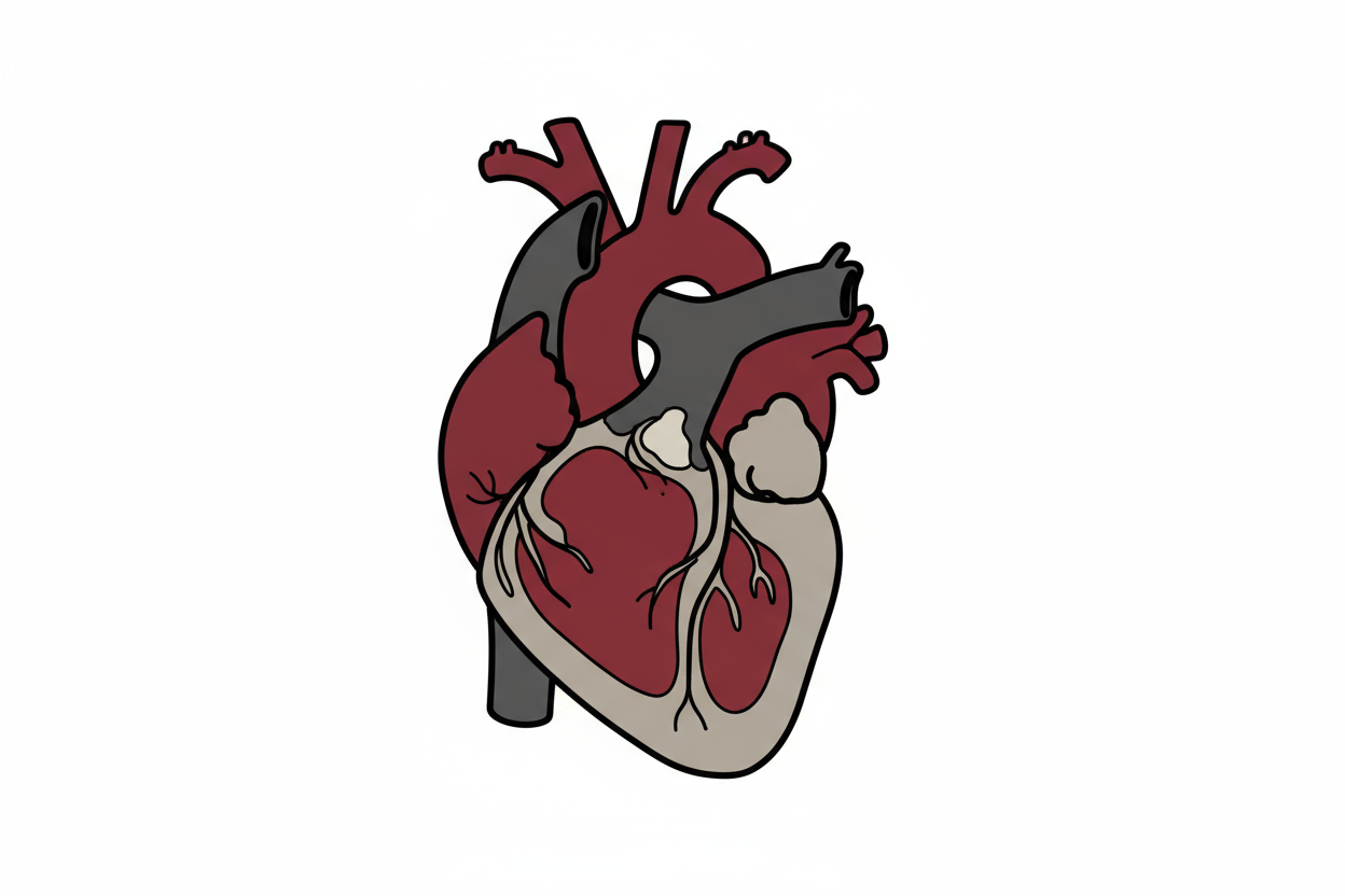 Cholesterol  & Heart Health Nutrition